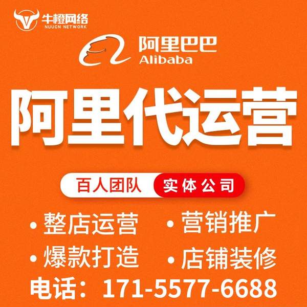 海西电商代运营