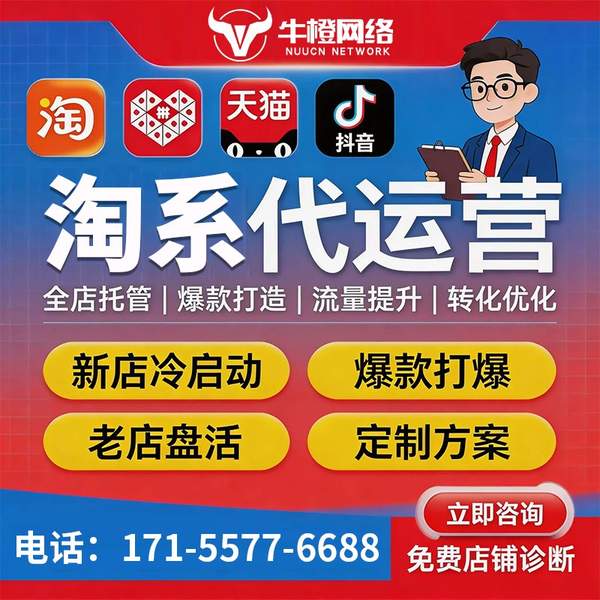 海西电商代运营