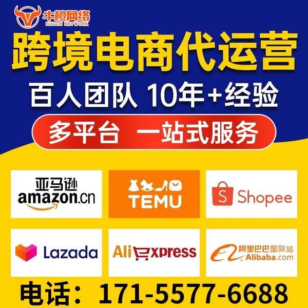 海西电商代运营