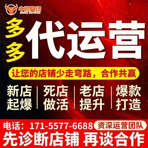 海西电商代运营