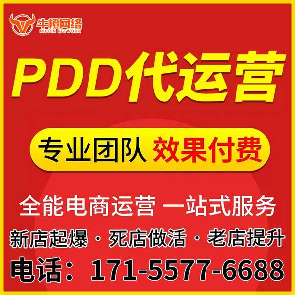海西电商代运营