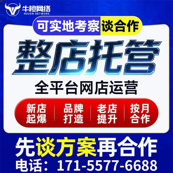 海西电商代运营