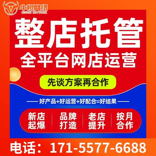 海西电商代运营