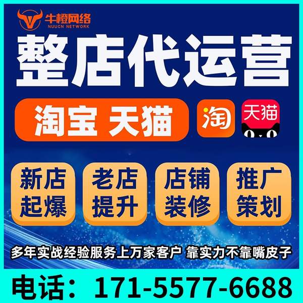海西电商代运营