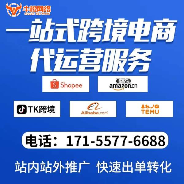 海西电商代运营