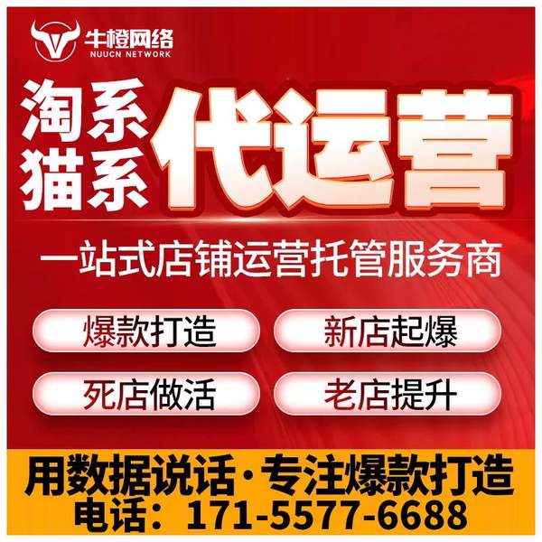 海西电商代运营